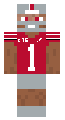 Ohio State buckeyes steve