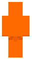 Orange Disguised suit