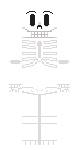 papyrus base