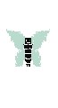 pillango  ember