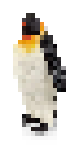 Pingi