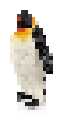 Pingi