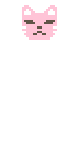 🩷 Pink Cat 🩷 🐾 skin