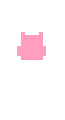 Pink crop top template