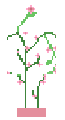 Pink flower plant 🌸 ピンクの花 🌸