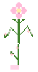 ℱ𝓁ℴ𝓌ℯ𝓇 花 🌸Pink Flowers Plant🌸