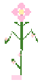 ℱ𝓁ℴ𝓌ℯ𝓇 花 🌸Pink Flowers Plant🌸