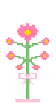 𝓯𝓵𝓸𝔀𝓮𝓻 ピンク🌸Pink plant🌸