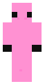 pixel pal pig