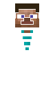 Pls Name This Steve