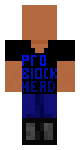 ProBlockHead