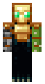 protected of minecraft