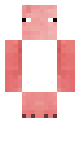 putting the pig texture on steve