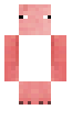 putting the pig texture on steve