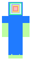 random skin FR FR FRFR
