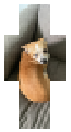 Rico