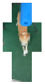 Rico by the pool noodle