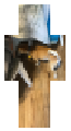 Rico by the table