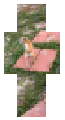 Rico did parkour again