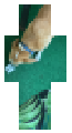 Rico eat the ice