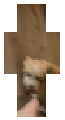 Rico licks