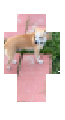 Rico parkouring v1