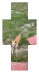Rico ran