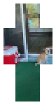 Rico sat at the door