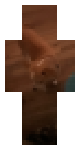 Rico standing