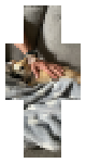 Rico went to bite poppop
