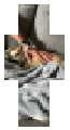 Rico went to bite poppop