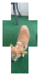 Rico yawned