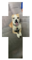 Rico yawny