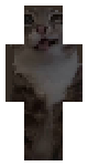rigby