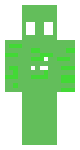 Ritfoxgames13's hacker skin edited