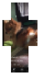 Rocky the Mennace barking