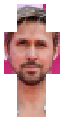 ryan goose