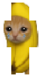 Sad & Happy bananna cat!