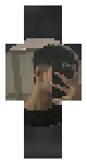 Sane