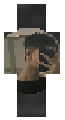Sane
