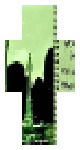 Saraunh0ly-learning2crawl