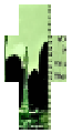 Saraunh0ly-learning2crawl