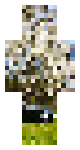 SCP-8184-1