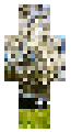 SCP-8184-1