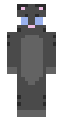 Shark Cat