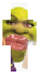 shrek/BADDIE!!!