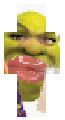 shrek/BADDIE!!!