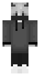 some random minecraft boy skin