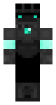Soulvester dw