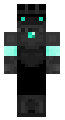 Soulvester dw